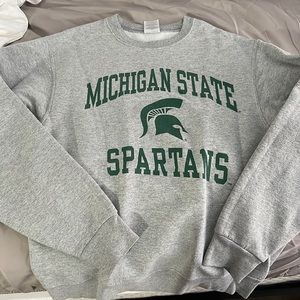 Michigan state crew neck
